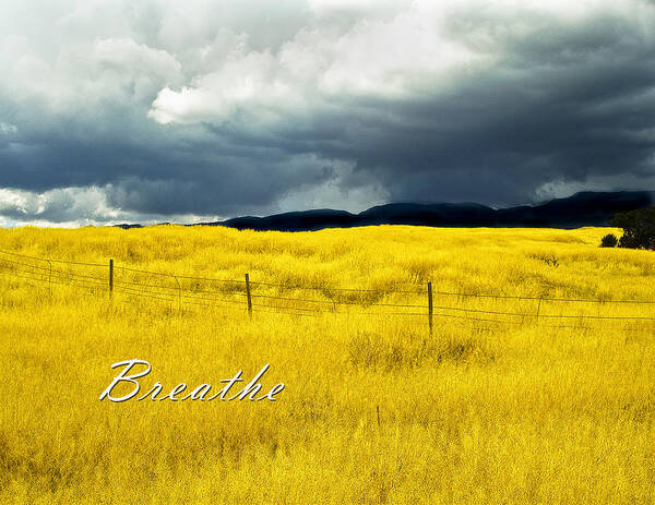 Field Poster featuring the photograph Breathe by Lou Novick