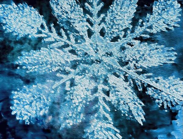 Snowflake Poster featuring the photograph Bright Snowflake by Kathy Bassett