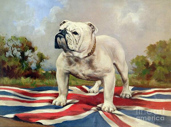 Union Jack Poster featuring the painting British Bulldog by English School