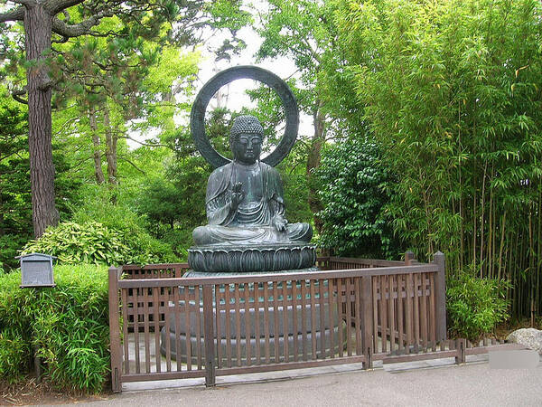 Buddha Poster featuring the photograph Buddha in Golden Gate Park by Carolyn Donnell