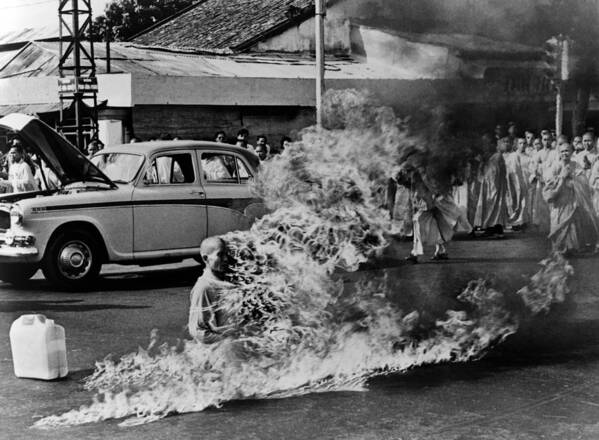 History Poster featuring the photograph Buddhist Monk Thich Quang Duc, Protest by Everett