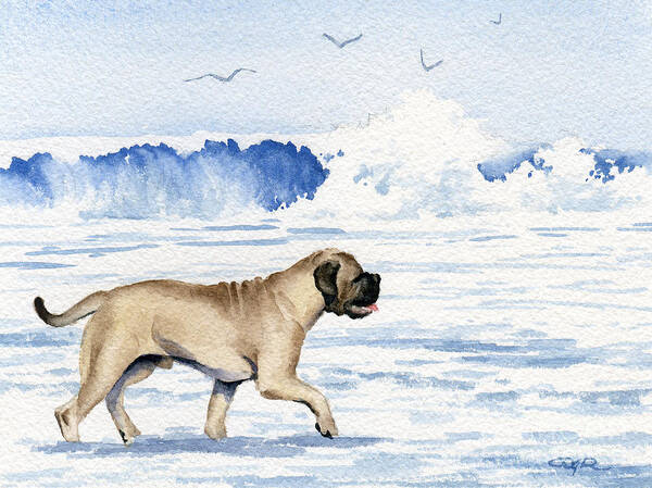 Bullmastiff Poster featuring the painting Bullmastiff On The Beach by David Rogers