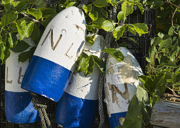 Cape Cod Poster featuring the photograph Buoys. by John Greim