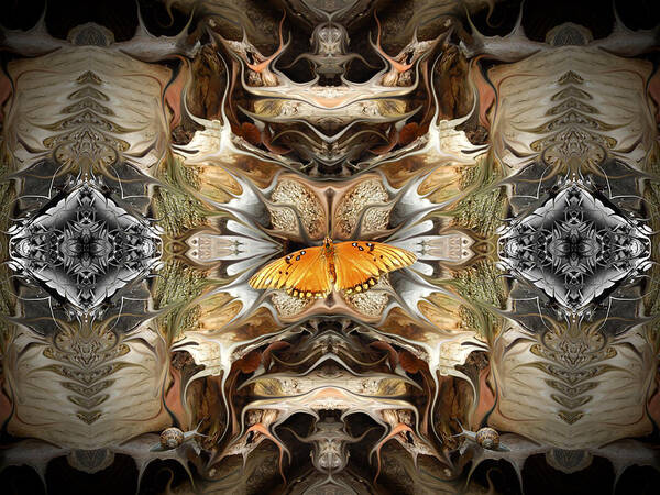 Abstract Poster featuring the digital art Butterfly Extrapolated by Glen Faxon