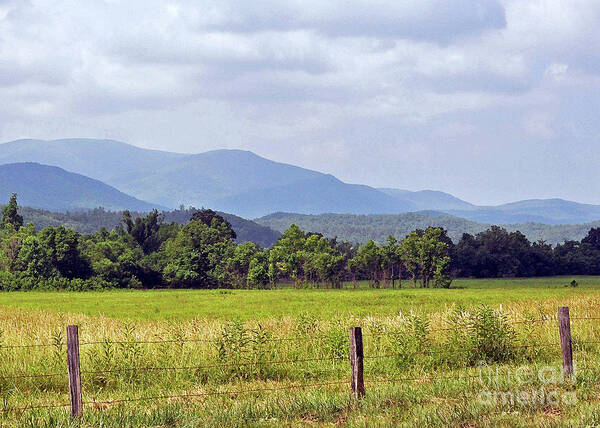 Cove Poster featuring the photograph Cades Cove 3 by Lydia Holly