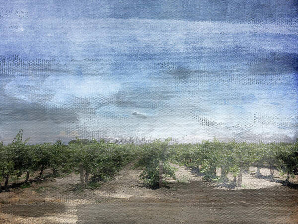 Landscape Poster featuring the mixed media California Vineyard- Art by Linda Woods by Linda Woods