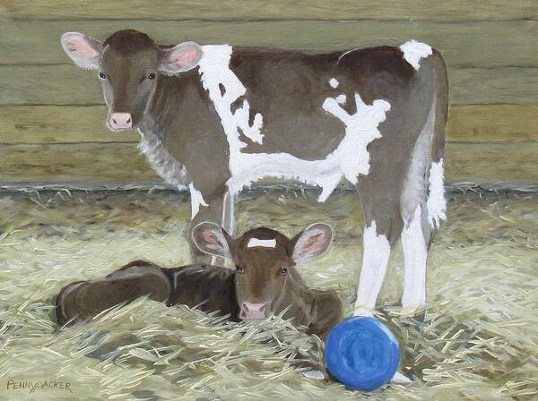 Guernsey Calves Poster featuring the painting Calves Playing with a Blue Ball by Barb Pennypacker