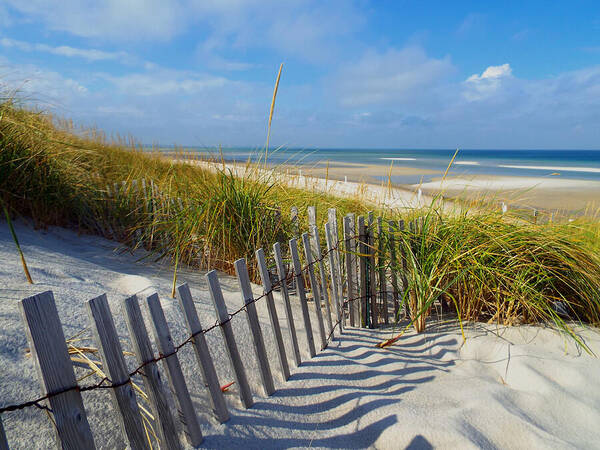 Mayflower Beach Poster featuring the photograph Cape Cod Charm - Mayflower Beach by Dianne Cowen Cape Cod Photography