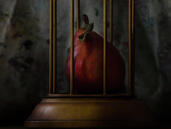 Pears - Red Pears Images Of Rae Ann M. Garrett - Still Lives- Fine Art Photography - Impresses Photography Poster featuring the photograph Captive - the pear drama 985 by Rae Ann M Garrett