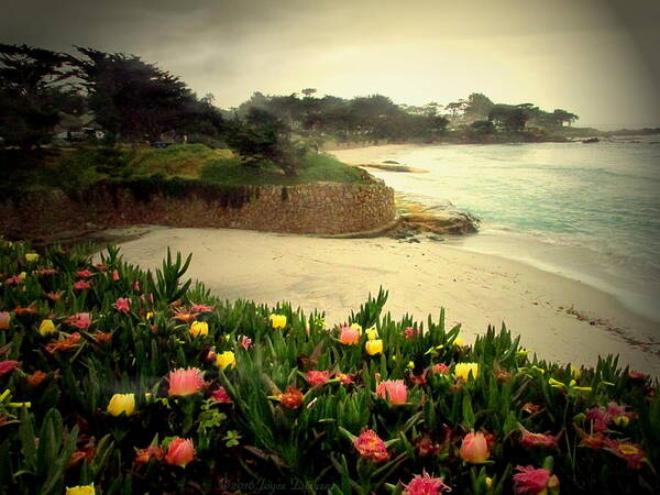 Beach Poster featuring the photograph Carmel Beach And Iceplant by Joyce Dickens