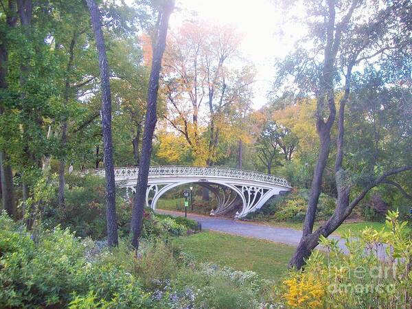 Central Park Poster featuring the photograph Central Park in Autumn at Gothic Bridge by Carol Riddle