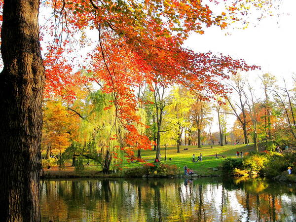 Autumn Poster featuring the photograph Central Park by Yannick Guerin