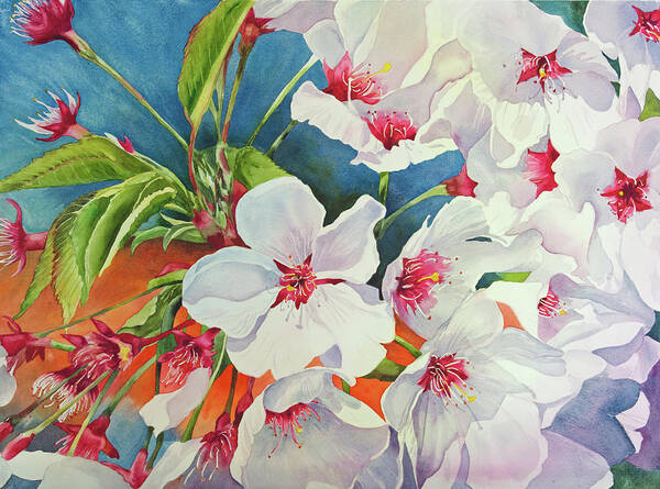 Flowers Poster featuring the painting Cherry BlossomsA by Diane Fujimoto