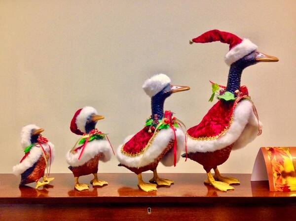 Duck Poster featuring the photograph Christmas Ducks in a Row by Lisa Pearlman