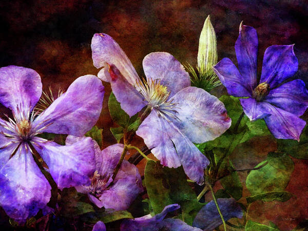 Impressionist Poster featuring the photograph Clematis 1330 IDP_2 by Steven Ward