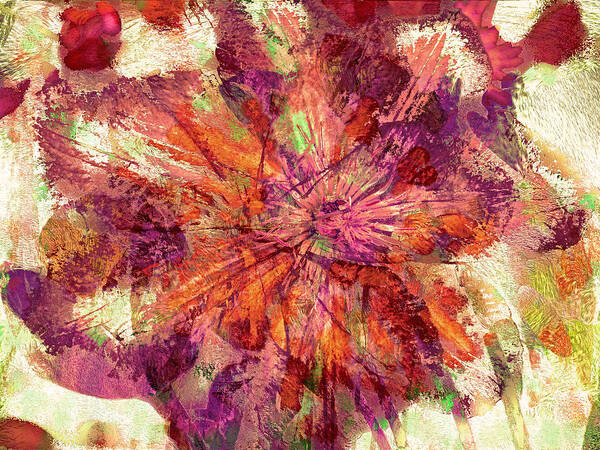 Clematis Poster featuring the photograph Clematis Absentia 21 by Lynda Lehmann