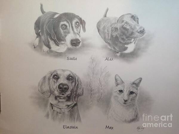 Dog Poster featuring the drawing Cline Pets by Mike Ivey