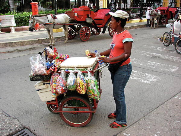 Colombia Poster featuring the photograph Colombia Srteet Cart by Brett Winn