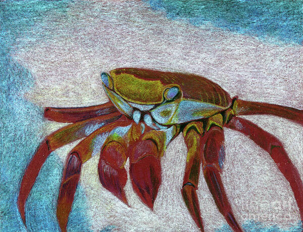 Crab Poster featuring the drawing Colorful Crab by Jackie Irwin