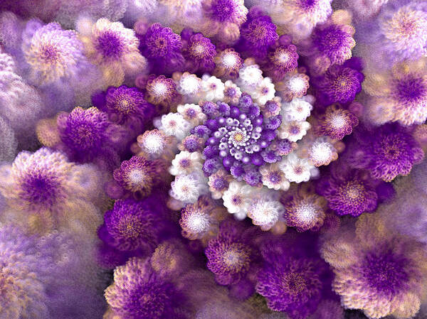 Fractal Poster featuring the digital art Coraled Blooms by Amorina Ashton