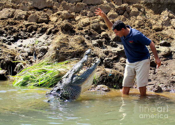 Crocodile Poster featuring the photograph Costa Rica Crocodile 4 by Randall Weidner