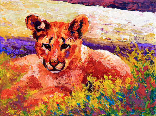Mountain Lion Poster featuring the painting Cougar Cub by Marion Rose