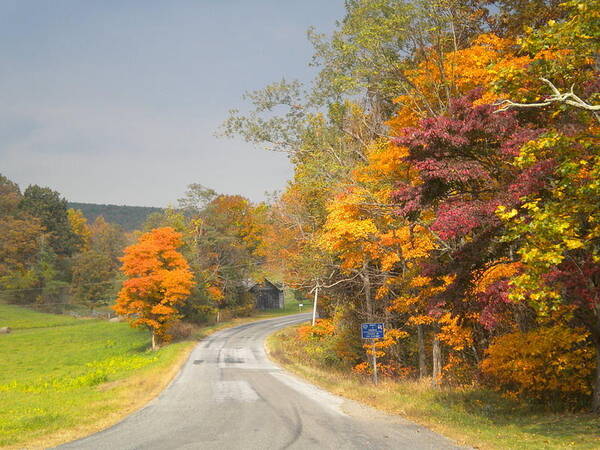 Fall Poster featuring the photograph Country Road in the Fall by Diannah Lynch