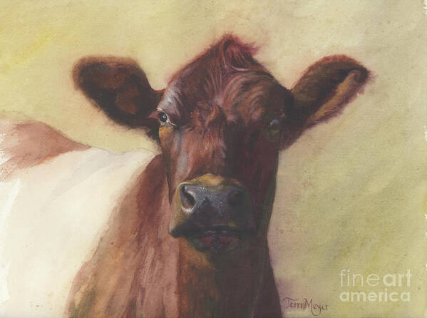 Cow Painting Poster featuring the painting Cow Portrait III - Pregnant Pause by Terri Meyer