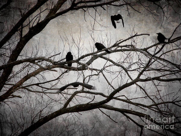Crows Poster featuring the photograph Crows at Midnight by Angie Rea