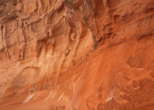 Devil's Canyon Poster featuring the photograph Devil's Canyon Wall by Tom Daniel