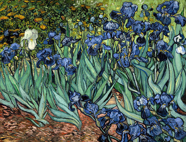 Vincent Van Gogh Poster featuring the digital art Digital Remix Irises by David Bridburg