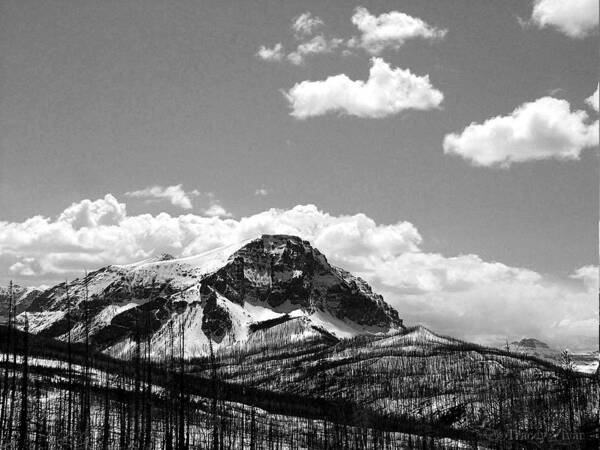Divide Mountain Poster featuring the photograph Divide in Blackand White by Tracey Vivar