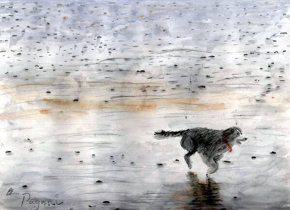 Watercolor Poster featuring the painting Dog on Beach by Chriss Pagani