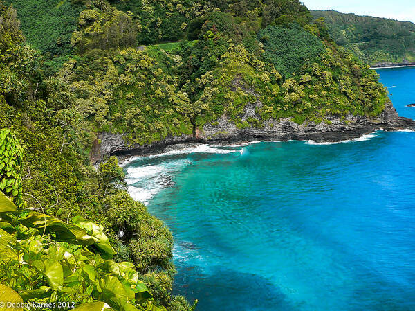 Pacific Ocean Poster featuring the photograph Dolphin Cove by Debbie Karnes