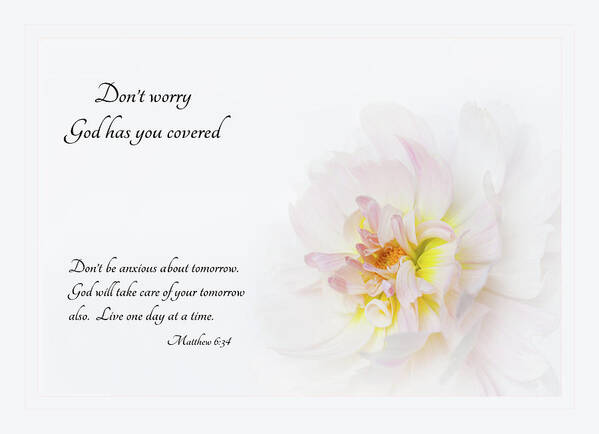 Dahlia;petals;don'tworry Poster featuring the photograph Don't Worry with Verse by Mary Jo Allen