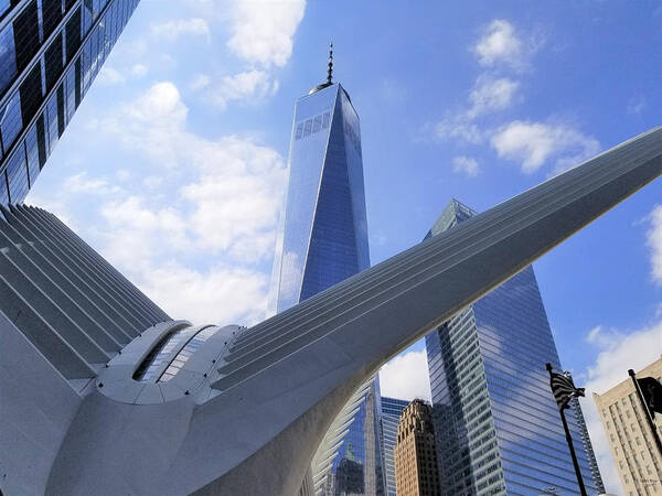911 Poster featuring the photograph Dove of Peace at One World Trade Center by Judith Rhue