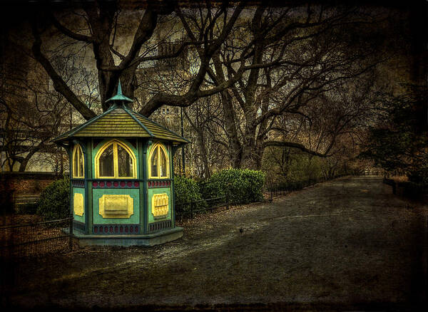 Central Park Poster featuring the photograph Dreamcatcher by Evelina Kremsdorf