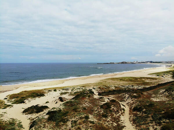 Beach Poster featuring the photograph Drone beach photo by Paulo Goncalves