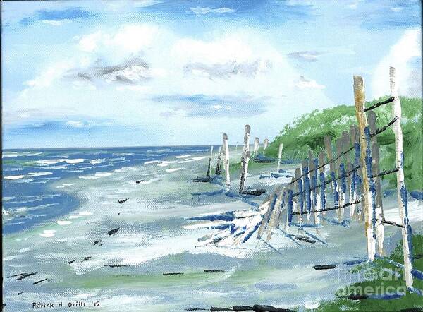 Dune Fences Poster featuring the painting Dune Fences Isle Of Palms by Patrick Grills