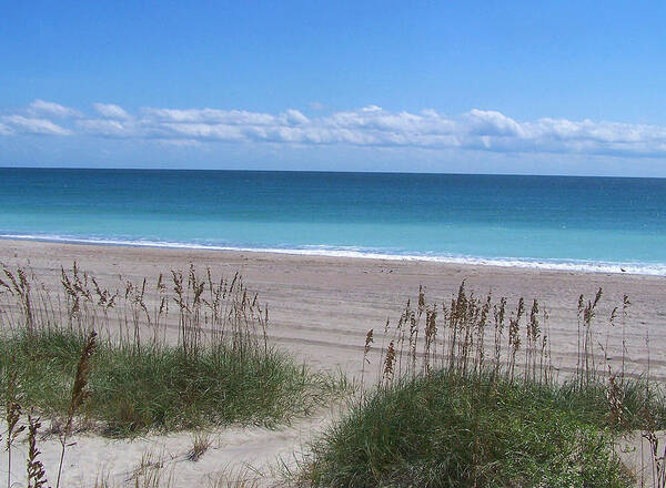 Beach Poster featuring the photograph Dunes On The Outerbanks by Sandi OReilly