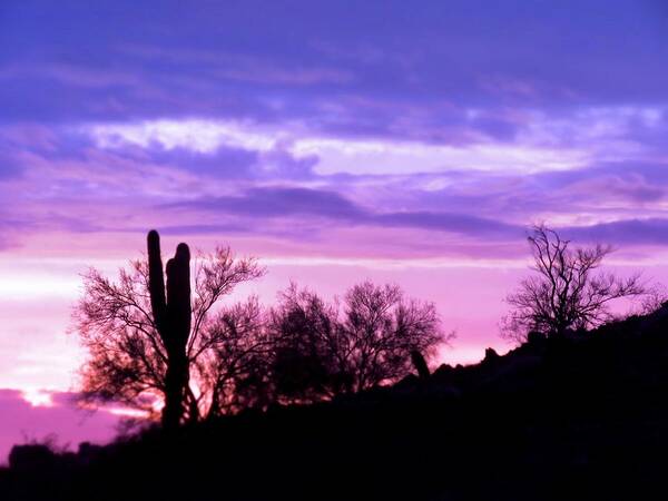 Desert Landscape Poster featuring the photograph Dusky Desert Purple-Pink by Judy Kennedy