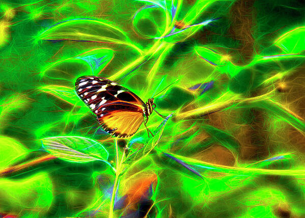 Mixed Media Fine Art Butterfly's. Mixed Media Butterfly. Mixed Media Gallery Art. Fine Art Photography. Flowers.bees.mountains. Deer.moose.dogs.elk. Rivers Butterfly Greeting Cards.digital Art. Cards.butterflies.spring.summer.fall.winter.landscapes.hiking.camping.wildlife.trips.colorado. Poster featuring the digital art Electric Butterfly by James Steele