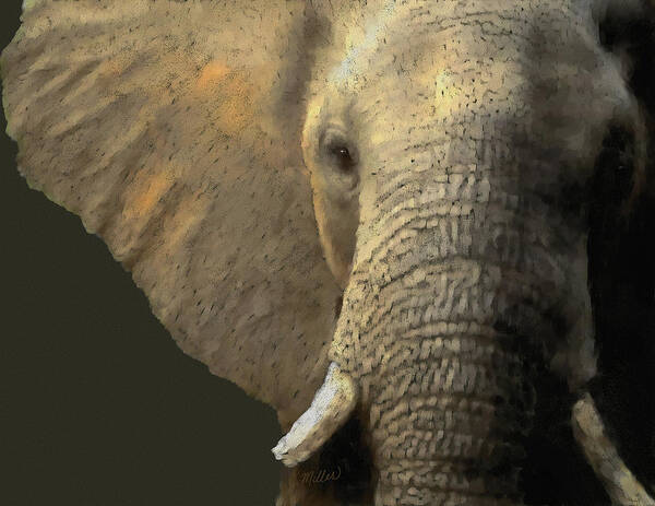 Elephant Poster featuring the pastel Elephant Portrait by Kathie Miller