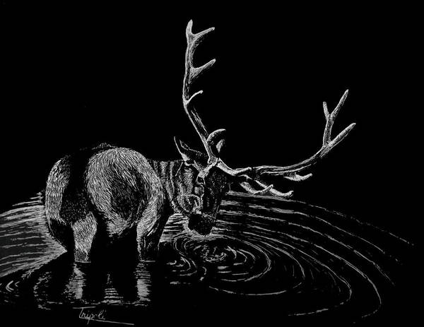 Wildlife Poster featuring the drawing Elk by Lawrence Tripoli