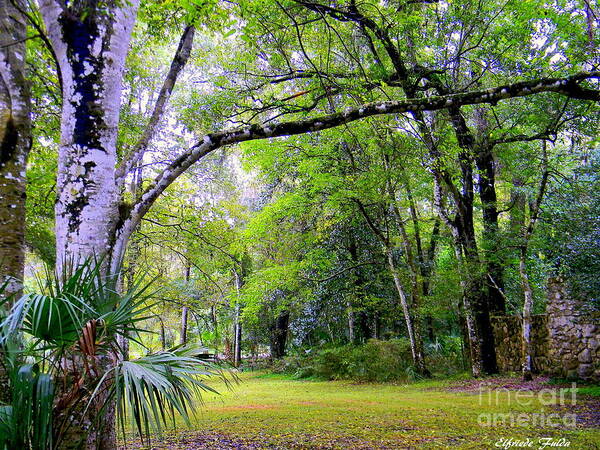 Florida Poster featuring the photograph Enchanted by Elfriede Fulda