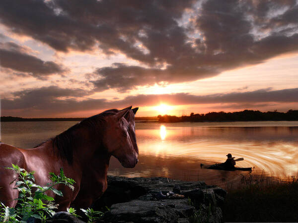 Horse Poster featuring the photograph Enjoying the Sunset by Michele A Loftus