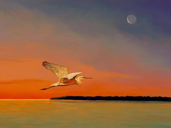 Shore Bird Poster featuring the painting Evening Flight by David Van Hulst