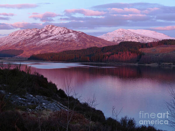 Loch Laggan Poster featuring the photograph Evening - Loch Laggan by Phil Banks