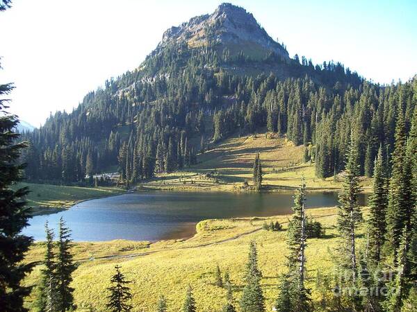 Mountain Poster featuring the photograph Fairy Tale Mountain Lake by Carol Riddle