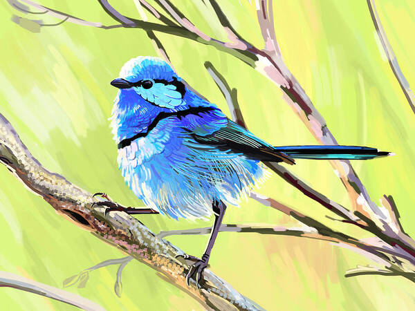 Fairy Wren Poster featuring the digital art Fairy Wren II by Plum Ovelgonne